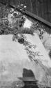 Paul Nash, ‘Black and white negative, Pooh, backgarden, New House, Rye’ [c.1932–3]