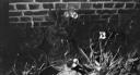 Paul Nash, ‘Black and white negative, irises in pots beside a brick wall, Eldon Road’ [c.1936–9]