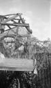 Paul Nash, ‘Black and white negative, caged budgerigars, garden, Eldon Road’ [c.1936–7]