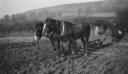 Paul Nash, ‘Black and white negative, Mr Burroughs ploughing, Carswalls Farm, Upleadon, Newent, Gloucestershire’ [c.1938–44]