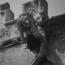 John Piper, ‘Photograph of a gargoyle at St Michael’s Church in Hallaton, Leicestershire’ [c.1930s–1980s]