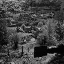 John Piper, ‘Photograph of Madeley Wood, near Ironbridge, Shropshire’ [c.1930s–1980s]