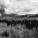 John Piper, ‘Photograph of a slate fence in Blaenau Ffestiniog, Merioneth’ [c.1930s–1980s]