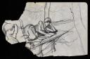 John Nash, ‘Sketch of woman reading (torn)’ [c.1930]