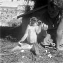 Eileen Agar, ‘Photograph of Pico the monkey being stroked’ 1956–6