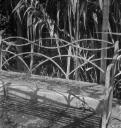 Eileen Agar, ‘Photograph of a park bench in Tenerife’ 1954