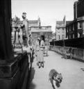 Joseph Bard, ‘Photograph of Eileen Agar with her dog, Dandy, next to a statue in Bath’ 1930s