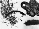 Nigel Henderson, ‘Photograph of a photogram to suggest microscopic life’ 1949