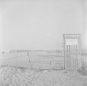 Nigel Henderson, ‘Photograph of an unidentified beach’ [c.1951–2]