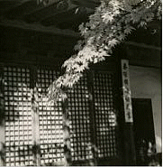 Sung Doo-kyung, Untitled, Date unknown