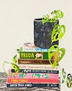 Manuel Lopez, Eight Books and a Swiss Cheese Monstera, 2021