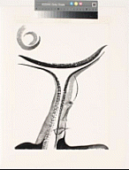 Ada Udechukwu, In the Temple of My Familiar, 1990