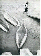 Lee, Hyungrok, Riverside, 1957
