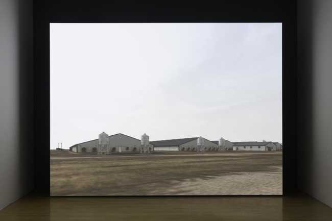 A projection in a dark room of long grey farm sheds on a bare field under a white sky
