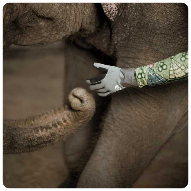 The Afronauts', Cristina de Middel, and assistants Cristina de