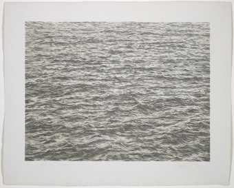 Explore the art of Vija Celmins