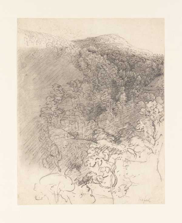 Hafod