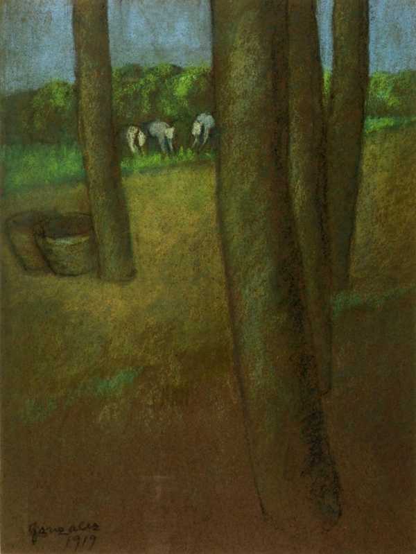 Large Trees
