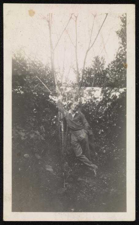 Photograph of Rupert Doone leaning against a tree‘, Unknown artist