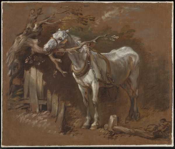 An Old Horse