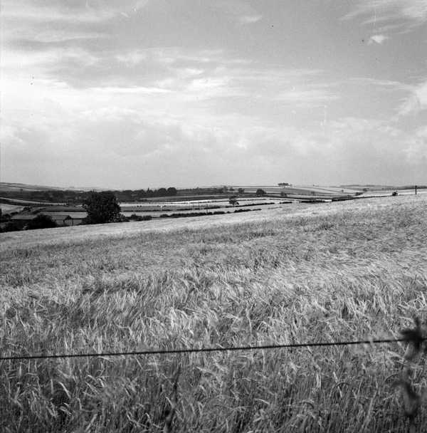 Photograph of a countryside landscape possibly in Yorkshire‘, John ...