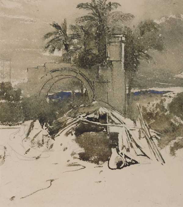 Arch, Palms, and Shed