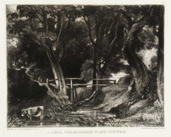 A Dell, Helmingham Park, Suffolk