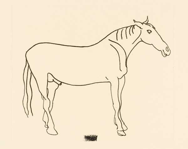Mule