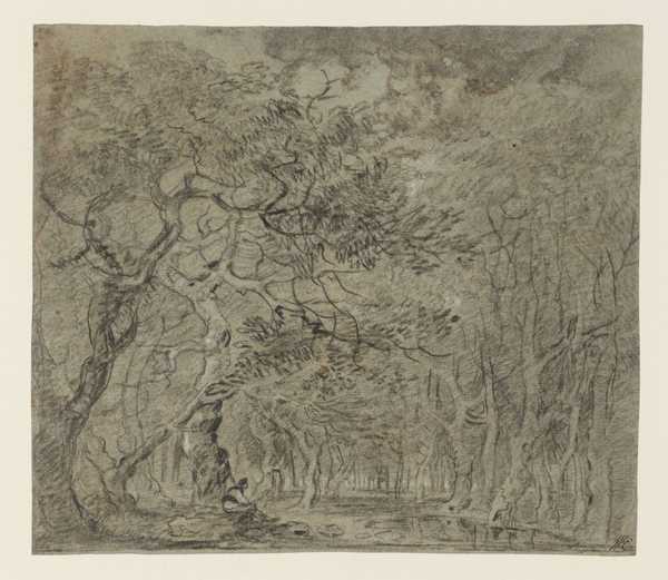Woodland Scene