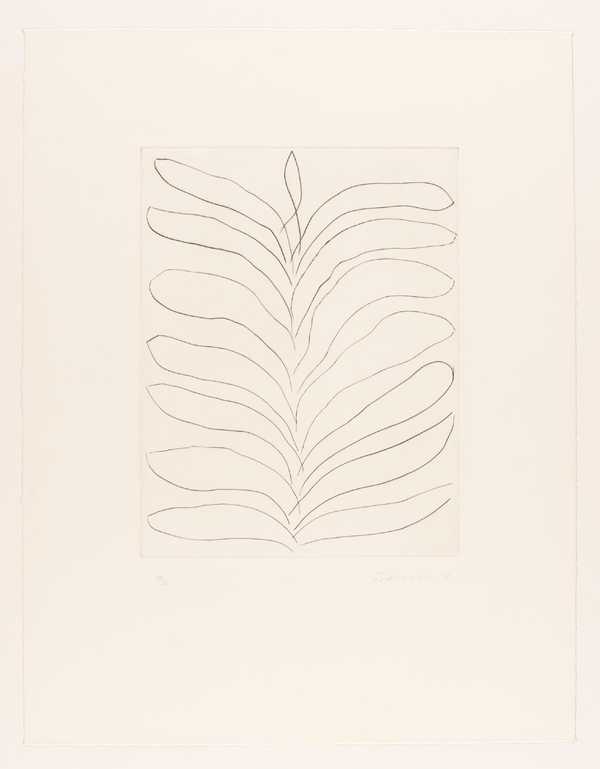 ‘Leaves - Drypoint VIII‘, William Turnbull, 1972 | Tate