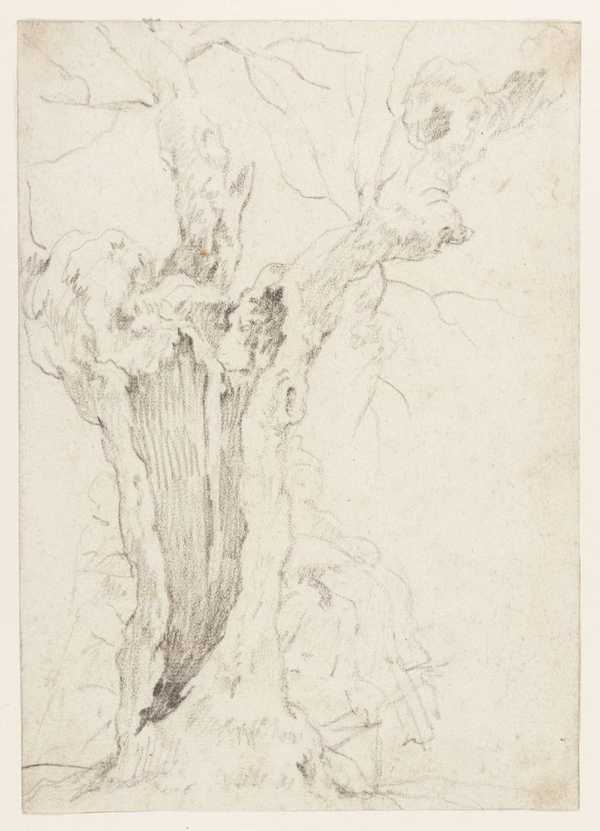 ‘Tree Study‘, Richard Wilson | Tate