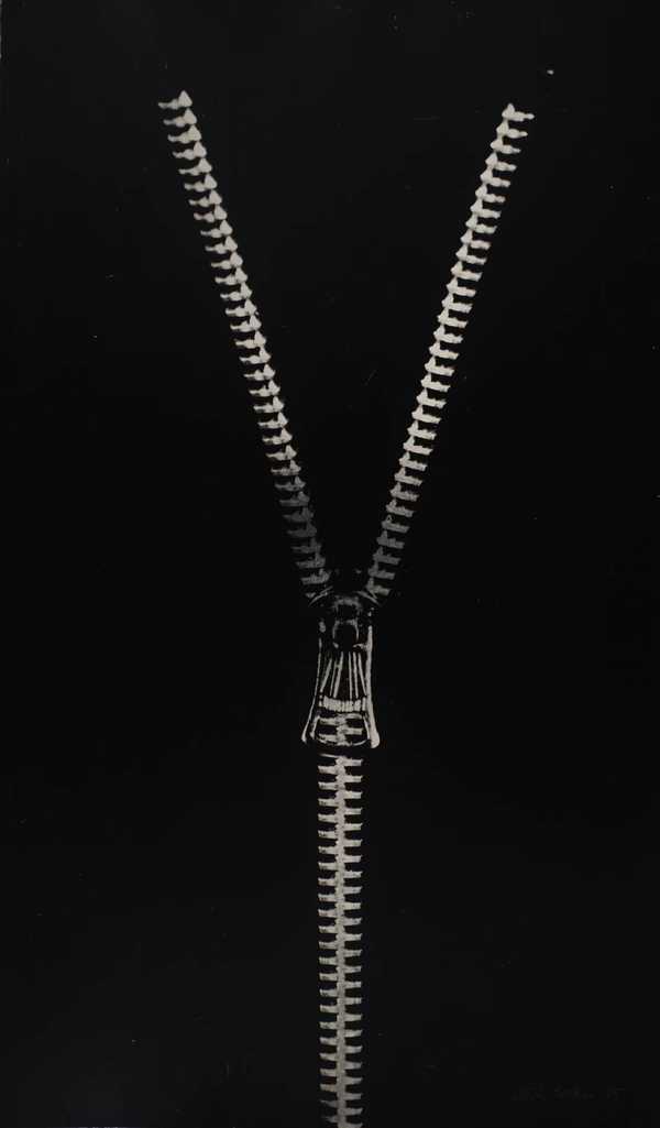 Zip II