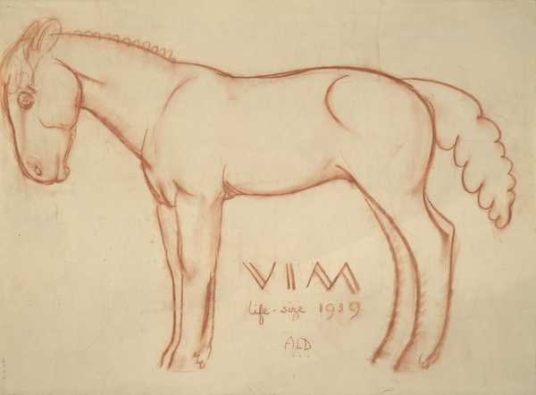 Sketches of the horse Vim‘, Alan L. Durst, 1939‘, Alan L. Durst, 1939 ...