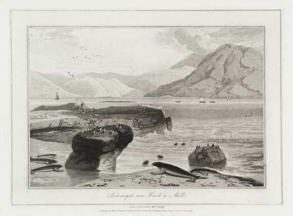 Loch-na-gael, near Knock on Mull