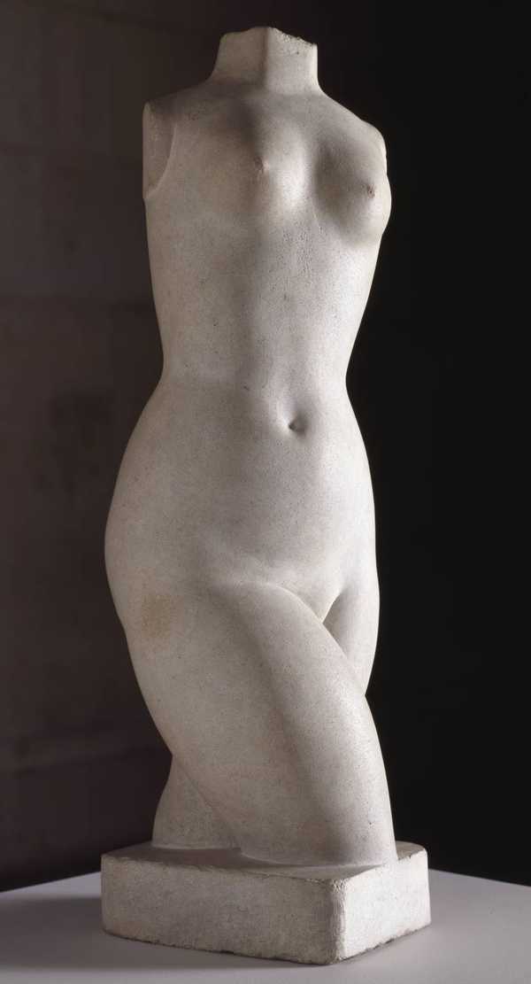 Torso