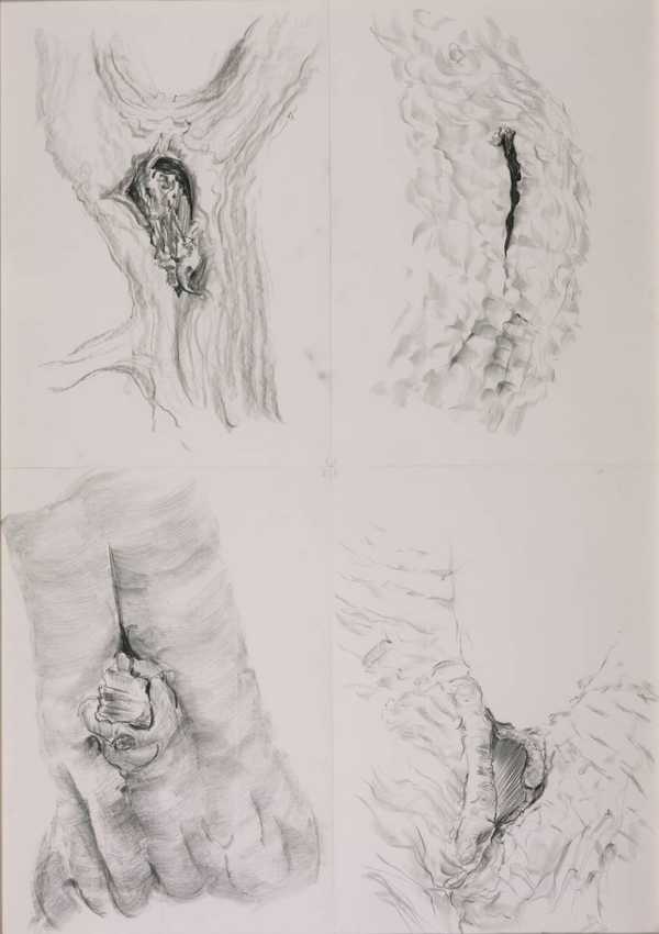 Bifurcation (Set I)
