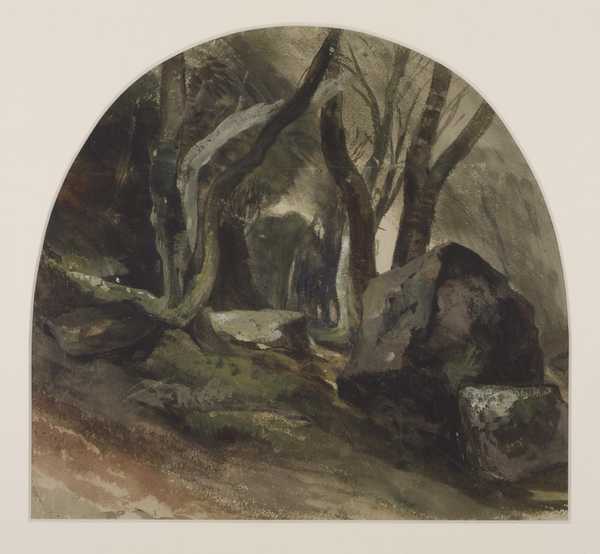 Rocky Woodland