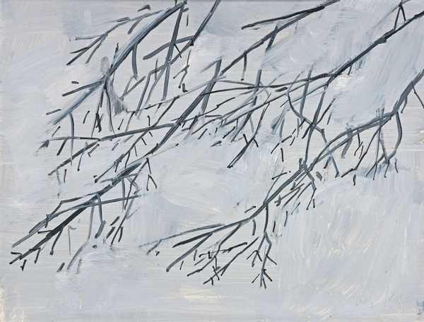 Winter Branch