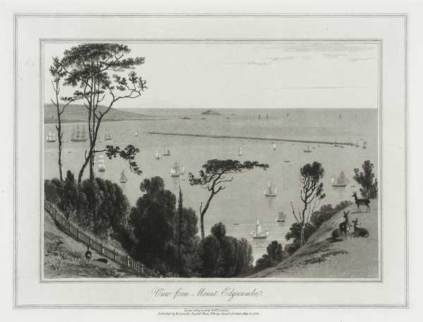 View from Mount Edgecumbe