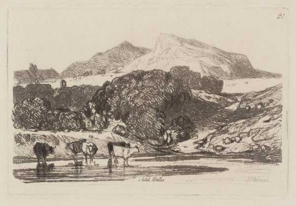 View in North Wales
