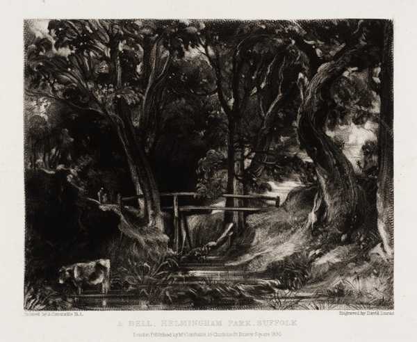 A Dell, Helmingham Park, Suffolk