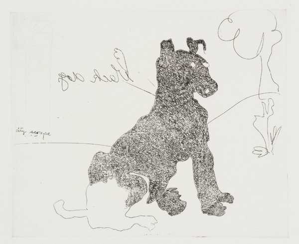 Black Dog