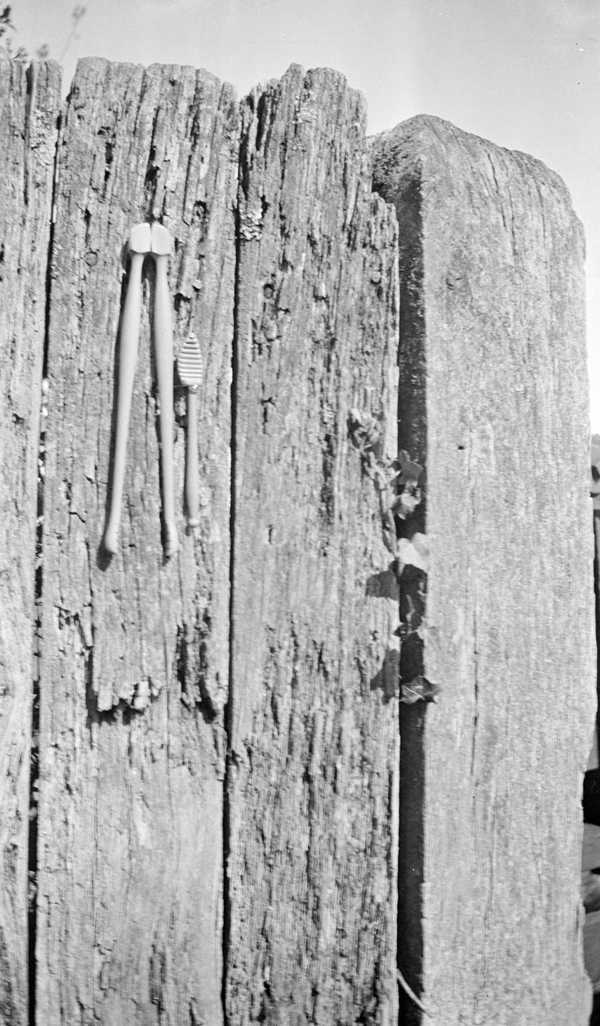 Black and white negative, pincers on a fence‘, Paul Nash, 1934‘, Paul ...