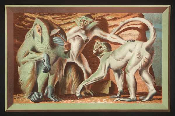 Monkeys