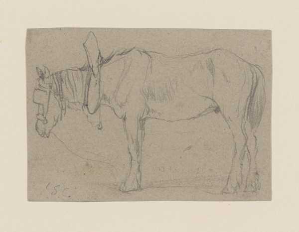 A Farm Horse