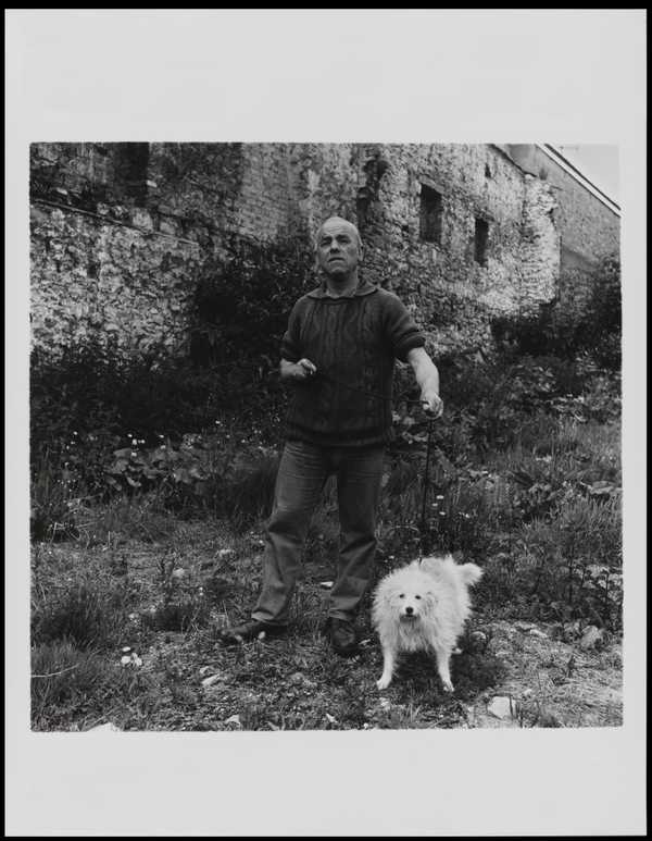 Walking the Dog