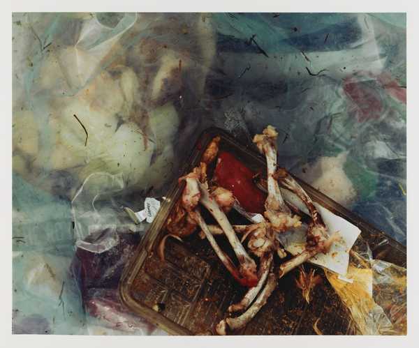 Pictures from a Rubbish Tip