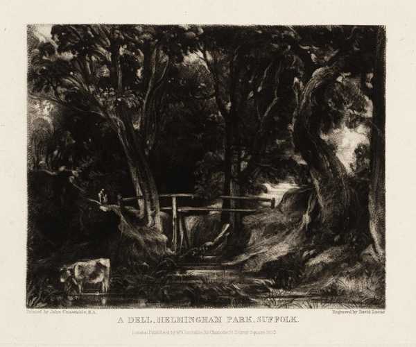 A Dell, Helmingham Park, Suffolk