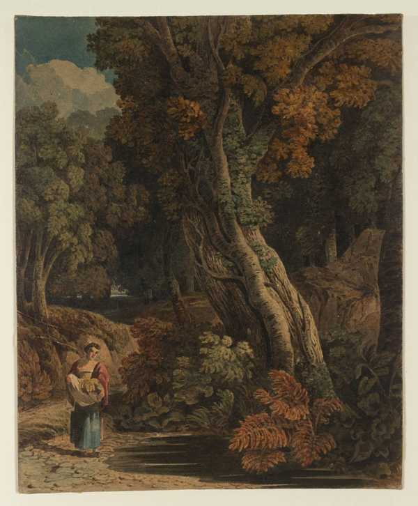 Composition, Forest Scene