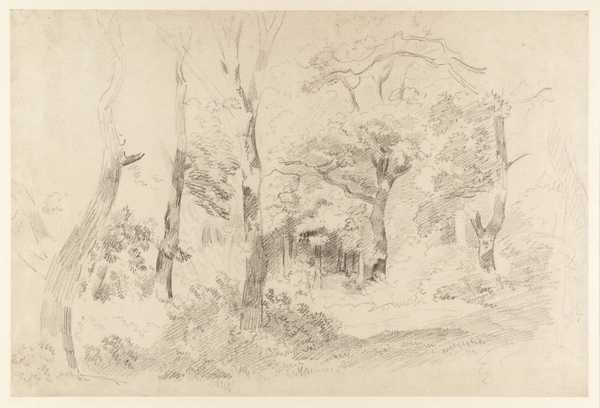 Interior of a Wood